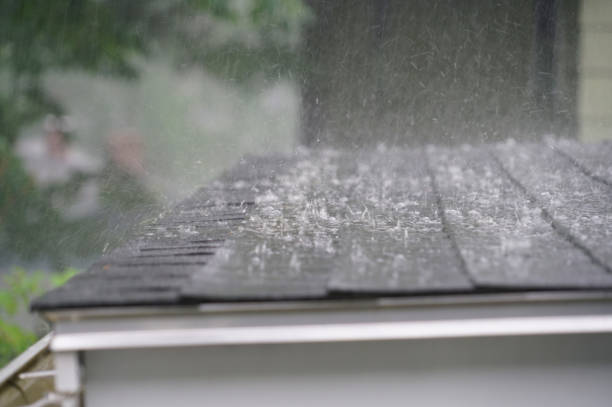 Best Sheet Metal Roofing  in Dilworthtown, PA